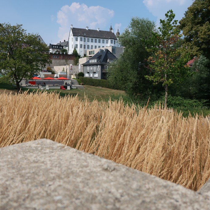 Ansicht der Altstadt von Arnsberg mit dem Sauerland-Museum von der gegenüberliegenden Seite der Ruhr (vergrößerte Bildansicht wird geöffnet)