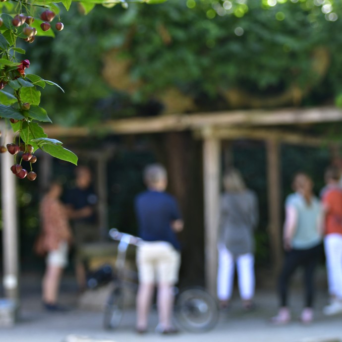 Teilnehmende unter einer Tanzlinde im Salinenpark (vergrößerte Bildansicht wird geöffnet)