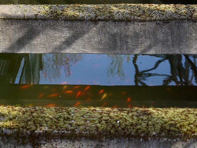 Jacoby Studios Paderborn, Foyer (vergrößerte Bildansicht wird geöffnet)